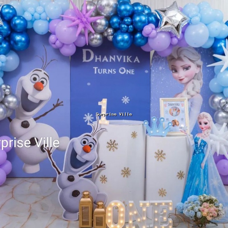 Frozen Theme Decoration